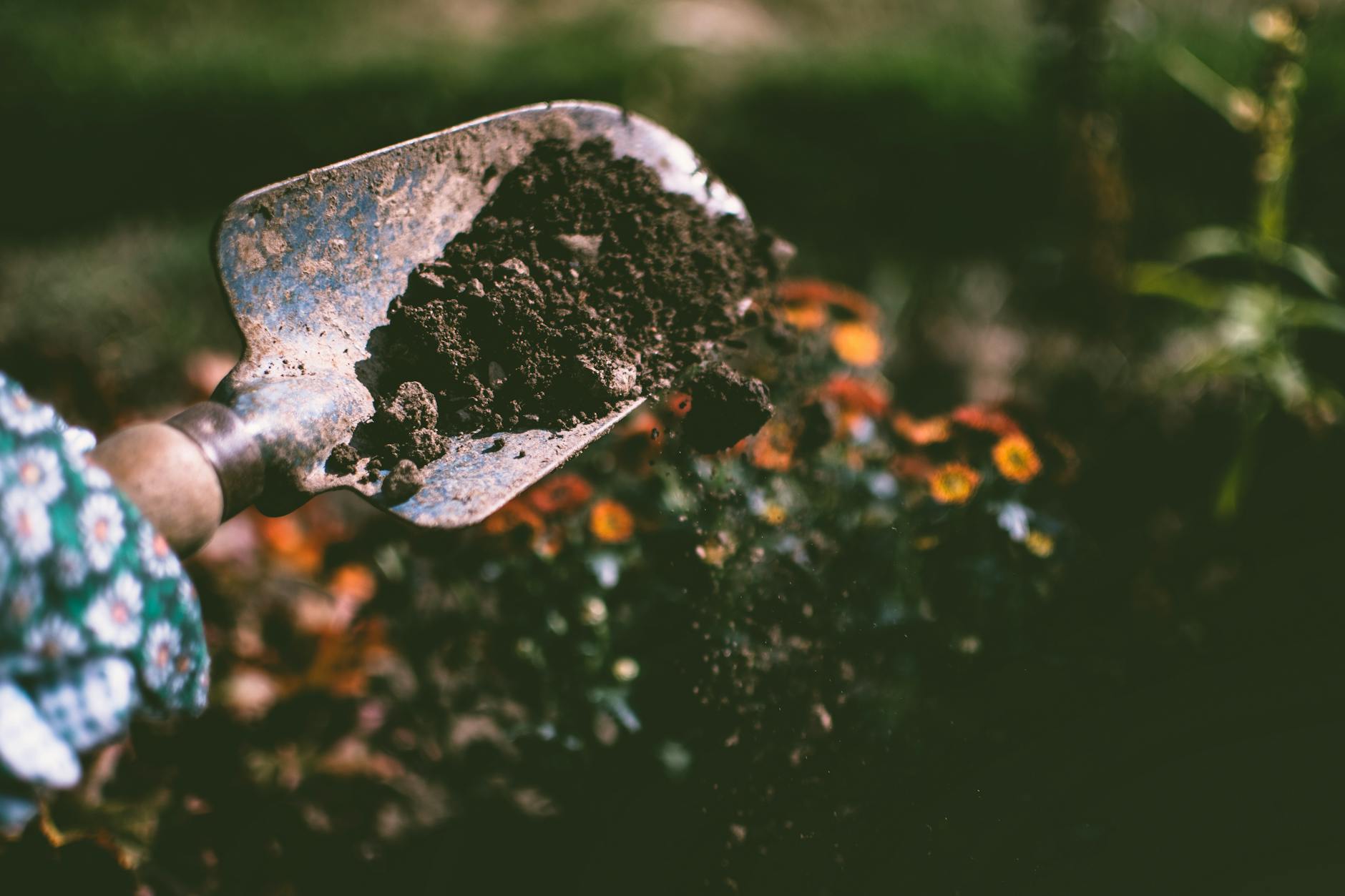 Sherman Oaks Landscaping